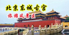 内射丝袜美女中国北京-东城古宫旅游风景区